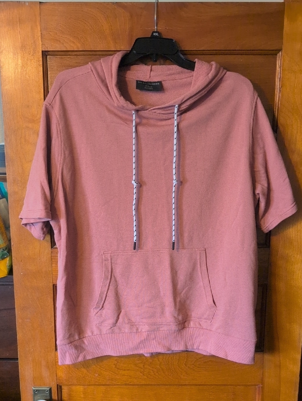 No Boundaries Short Sleeve Hoodie in Dusty Pink